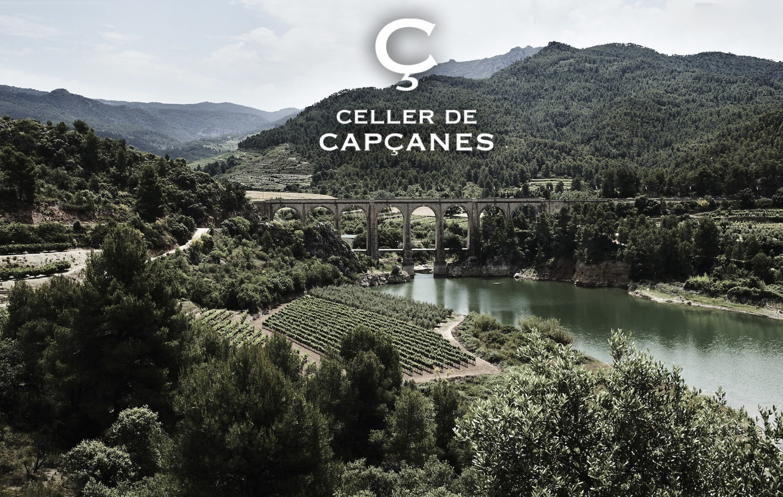 Celler_de_Capsanes_2
